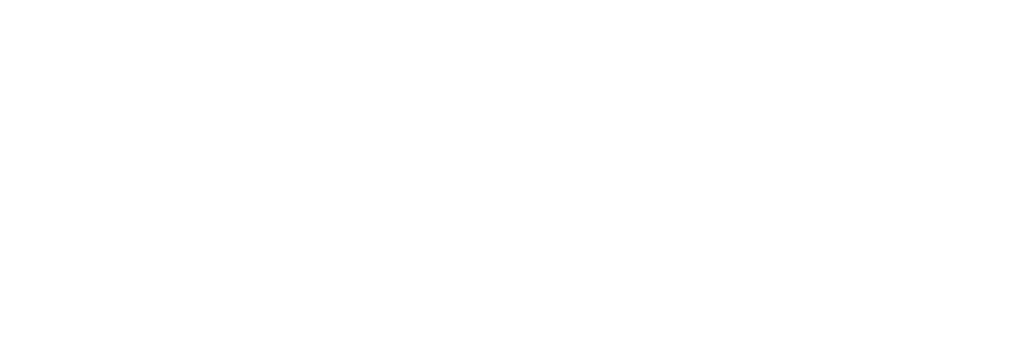 Dechema_Logo_weiß